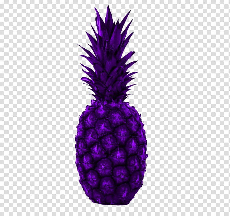 Froot, purple pineapple transparent background PNG clipart