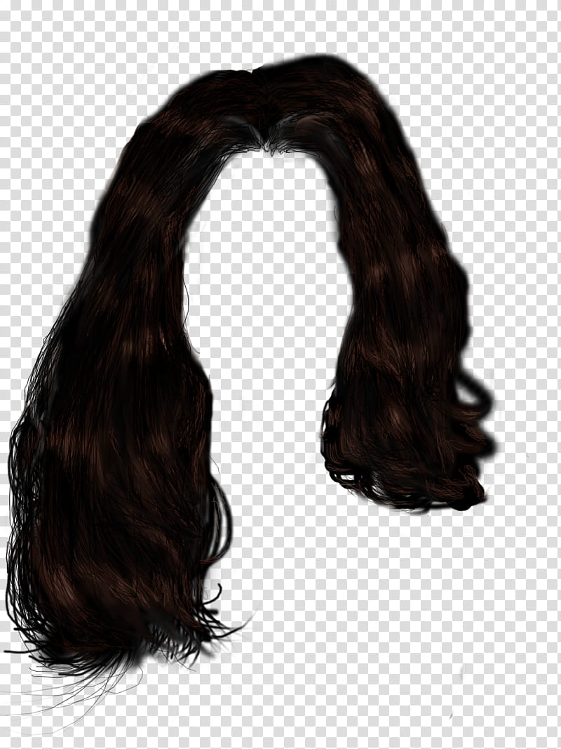 Basic Hair, black hair extension transparent background PNG