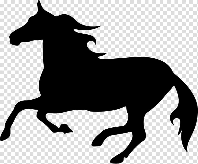 Horse, Mustang, Silhouette, Horse Racing, Black, Mane, Animal Figure, Stallion transparent background PNG clipart