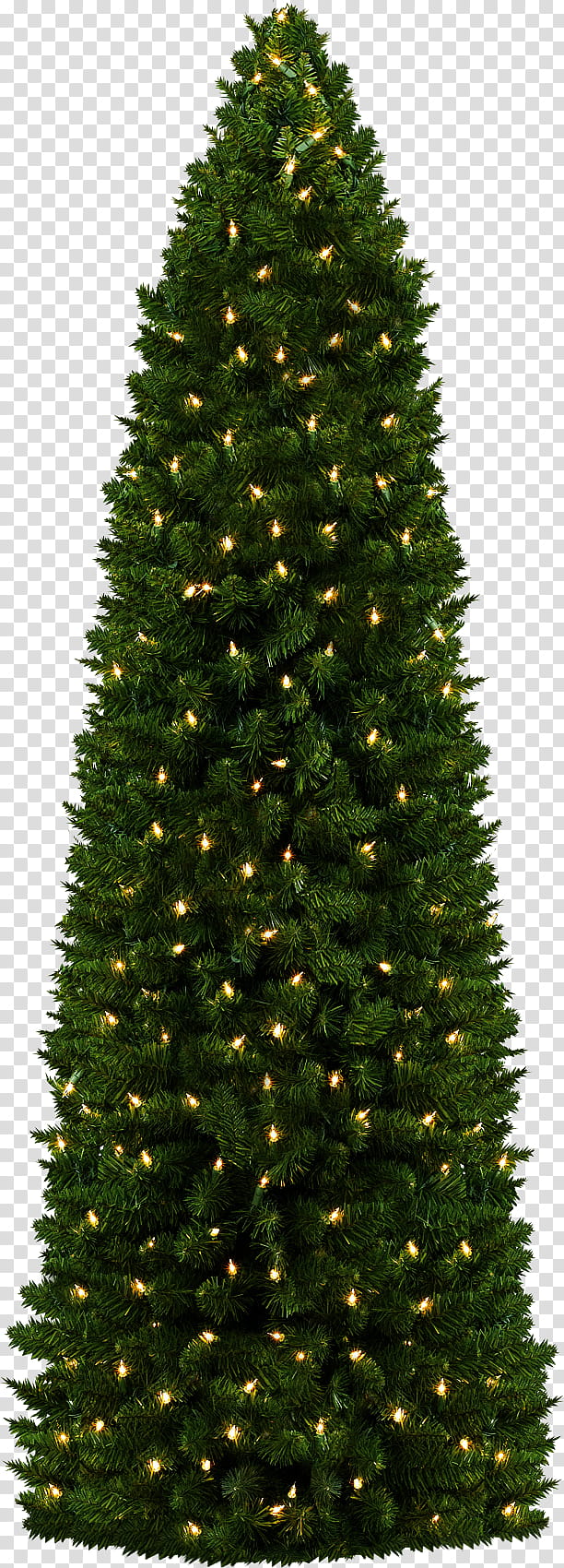 Christmas Tree, green Christmas tree transparent background PNG clipart