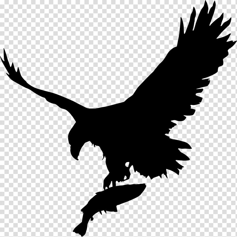 Kite With, Eagle, Bald Eagle, Silhouette, Bird, Fish, Fishing, Hunting With Eagles transparent background PNG clipart