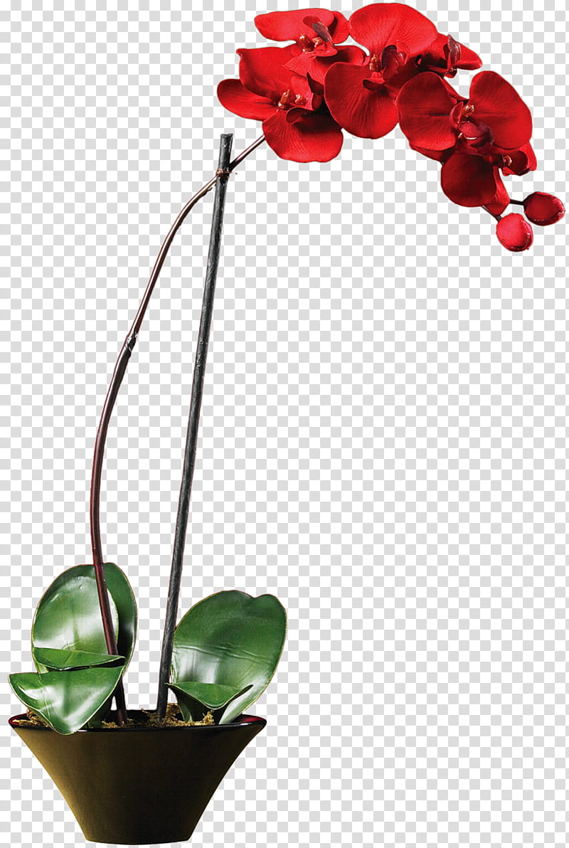 Flowers, Orchids, Nearly Natural Inc, Vase, Plants, Artificial Flower, Plant Stem, Floristry transparent background PNG clipart