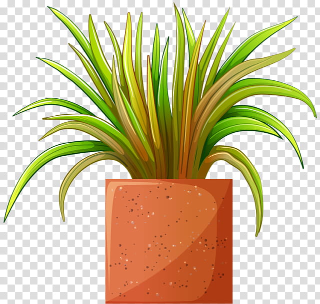 Family Tree, Flowerpot, Houseplant, Plants, Ornamental Plant, Indoor Bonsai, Garden, Grass transparent background PNG clipart