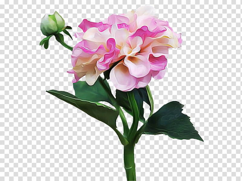Artificial flower, Pink, Plant, Petal, Cut Flowers, Common Peony, Chinese Peony, Hydrangea transparent background PNG clipart
