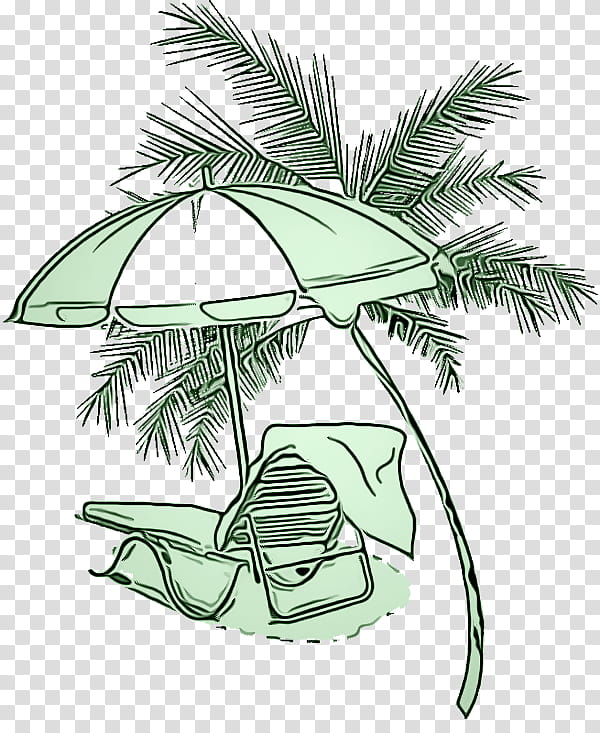 Palm tree, Coconut, Leaf, Arecales, Plant, Woody Plant, Elaeis transparent background PNG clipart