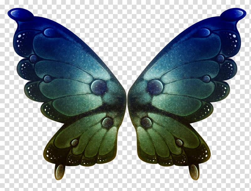 Object Wings , blue and green butterfly transparent background PNG clipart