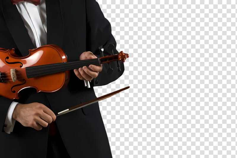 string instrument musical instrument string instrument music violist, Violin, Bowed String Instrument, VIOLA, Cellist, Violinist transparent background PNG clipart