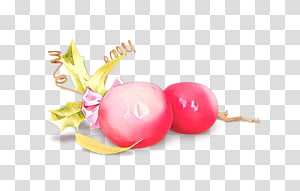 pink food plant fruit transparent background PNG clipart thumbnail