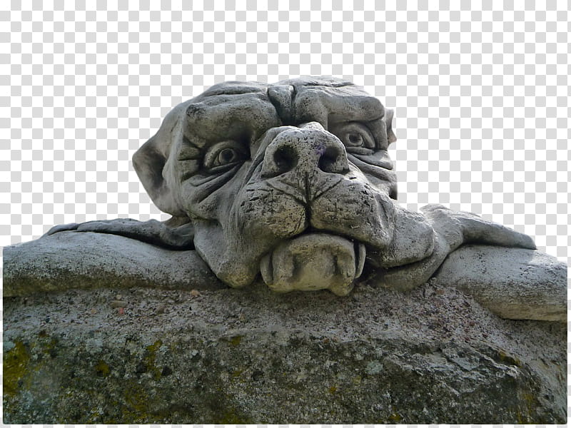 Stone Gargoyle Statue, gray and black dog statue under white sky transparent background PNG clipart