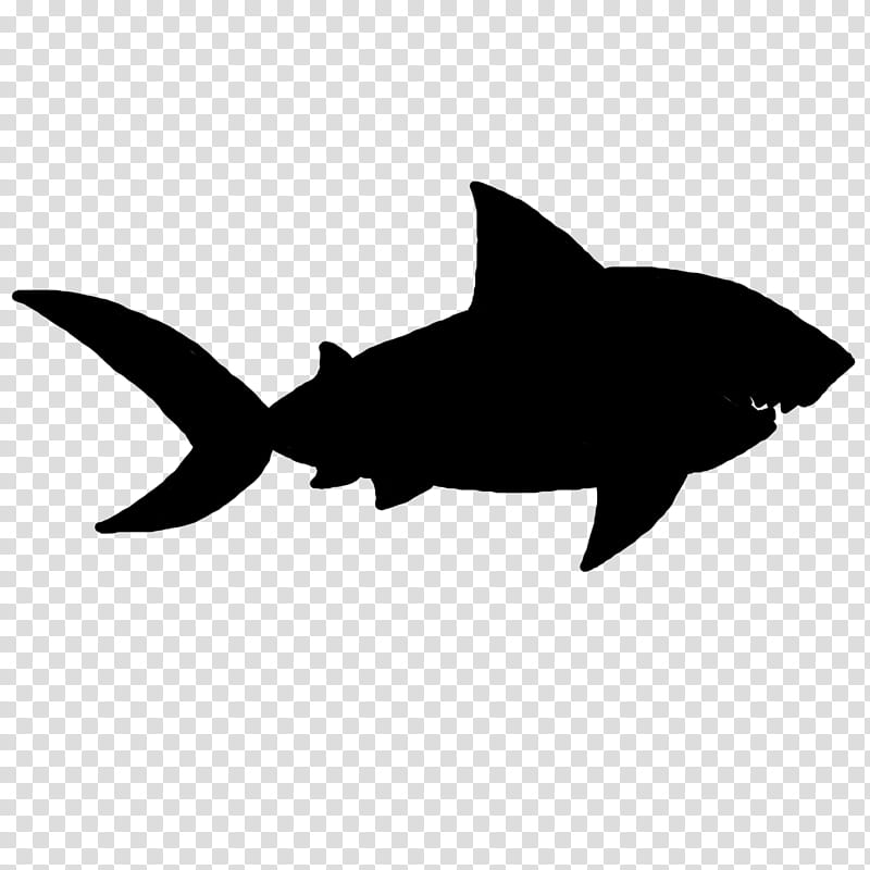 Great White Shark, Silhouette, Fish, Fin, Lamniformes, Cartilaginous Fish, Lamnidae, Requiem Shark transparent background PNG clipart