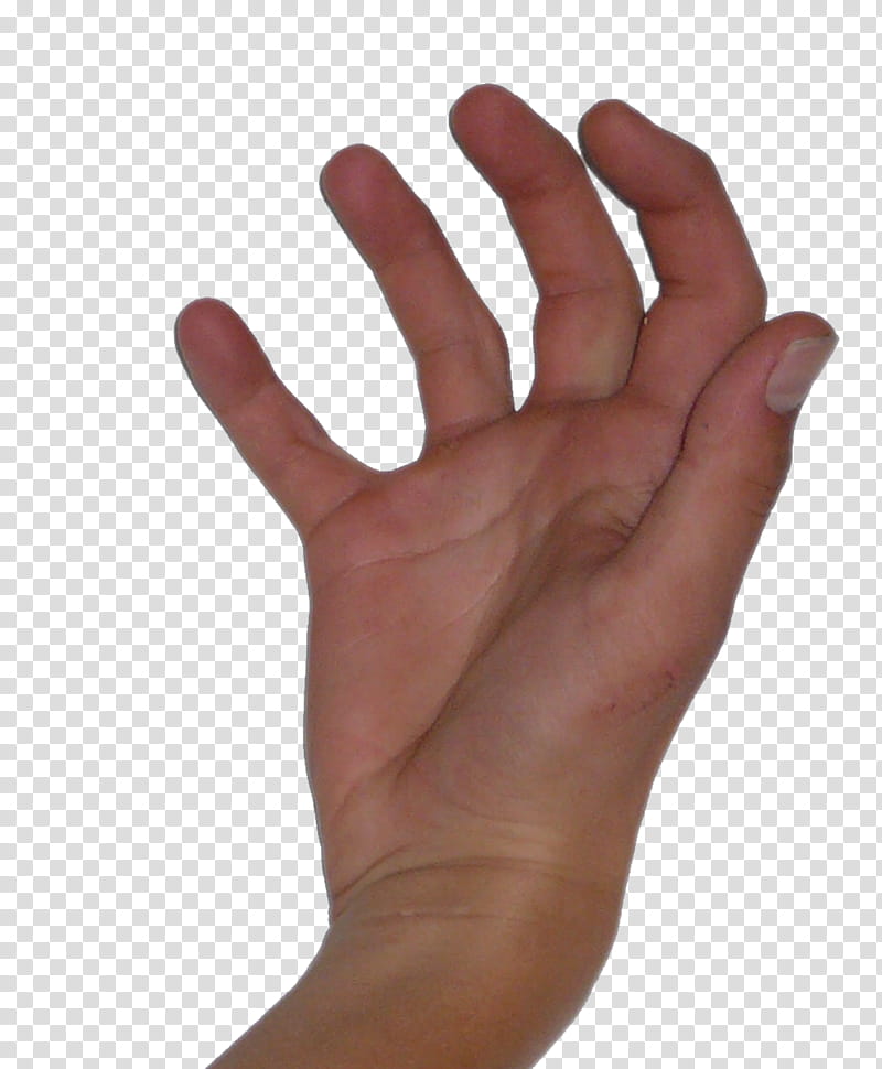 Hand s, right human hand transparent background PNG clipart