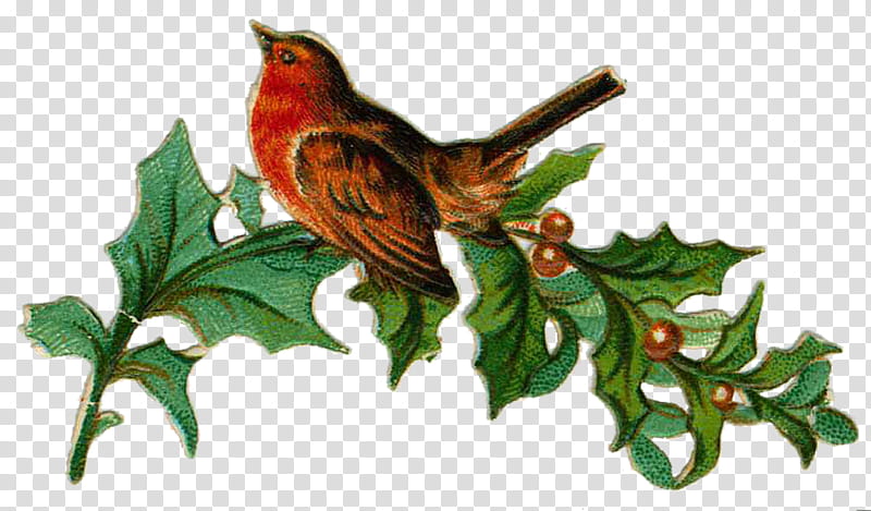 Christmas Resource , red bird on tree transparent background PNG clipart