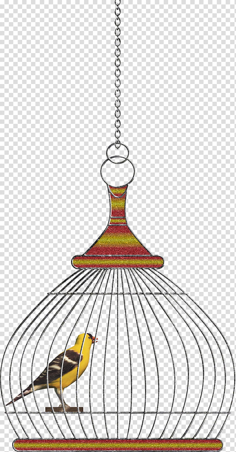 bird in hanging birdcage illustration transparent background PNG clipart