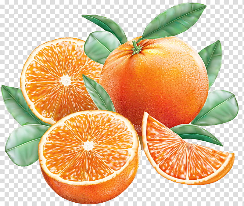 Orange, Citrus, Mandarin Orange, Natural Foods, Rangpur, Fruit, Clementine, Tangerine transparent background PNG clipart