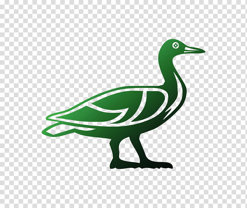 Duck, Beak, Feather, Bird, Water Bird, Ducks Geese And Swans, Waterfowl, Goose transparent background PNG clipart Duck, Beak, Feather, Bird, Water Bird, Ducks Geese And Swans, Waterfowl, Goose transparent background PNG clipart