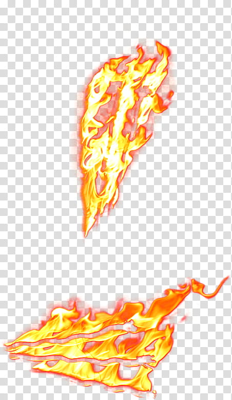 Flames , yellow and red floral textile transparent background PNG clipart
