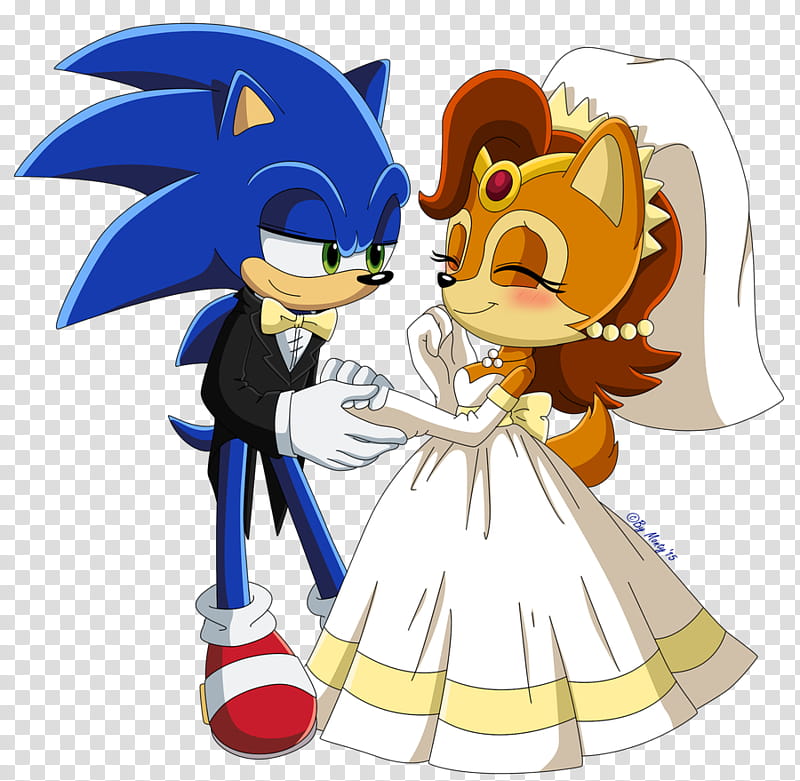 .:Sonic and Sally:. transparent background PNG clipart