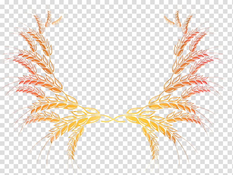 Wheat, Grain, Ear, Cereal, Spikelet, Yellow, Orange, Necklace transparent background PNG clipart