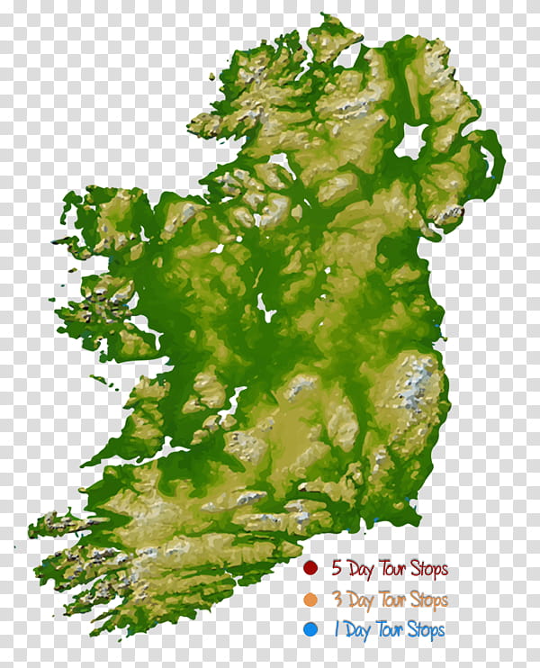 Tree Leaf, Inishowen, Dingle Peninsula, Northern Ireland, Iveragh Peninsula, Cooley Peninsula, Location, Dublin transparent background PNG clipart