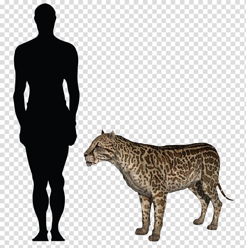 Bear, Dinosaur, Leopard, Jaguar, Lion, Human, Animal, Pegomastax Africana transparent background PNG clipart