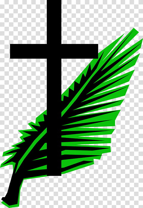 Palm Sunday, Easter
, Palm Trees, Passion Sunday, Palm Branch, Passion Of Jesus, Holy Week, Green transparent background PNG clipart