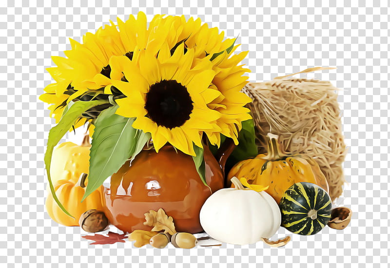 Sunflower, Cut Flowers, Yellow, Plant, Still Life, Mayweed, Vegetarian Food, Sunflower Seed transparent background PNG clipart