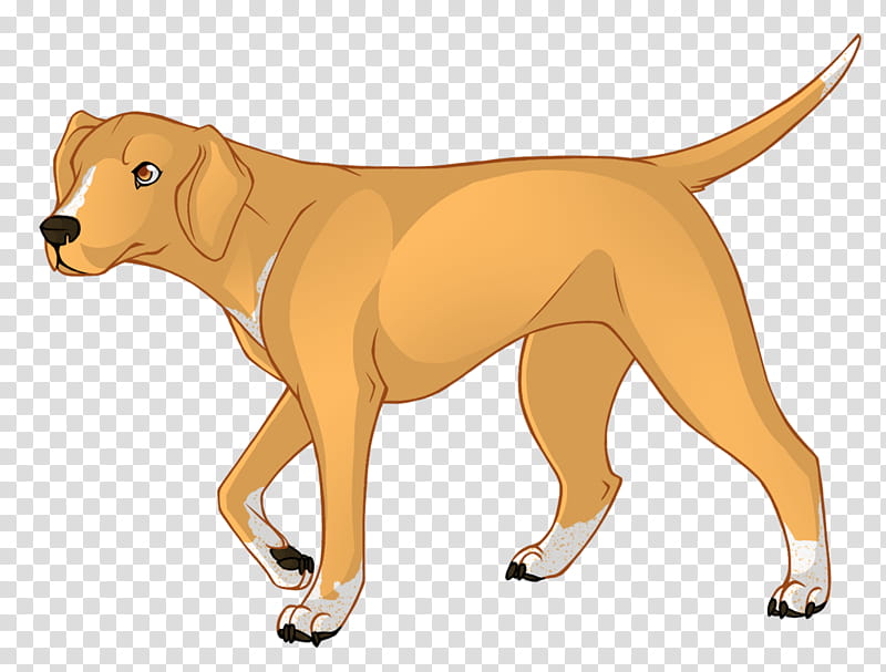 Dog Paw, Nova Scotia Duck Tolling Retriever, Dog Breed, Sporting Group, Crossbreed, Snout, Cartoon, Tail transparent background PNG clipart