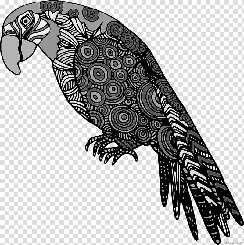 Bird Parrot, Budgerigar, Fly Parrot, Lovebird, Macaw, Parakeet, True Parrot, Blueandyellow Macaw transparent background PNG clipart