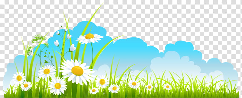 Summer Flower, Spring
, Drawing, Icon Design, Blog, People In Nature, Meadow, Natural Landscape transparent background PNG clipart