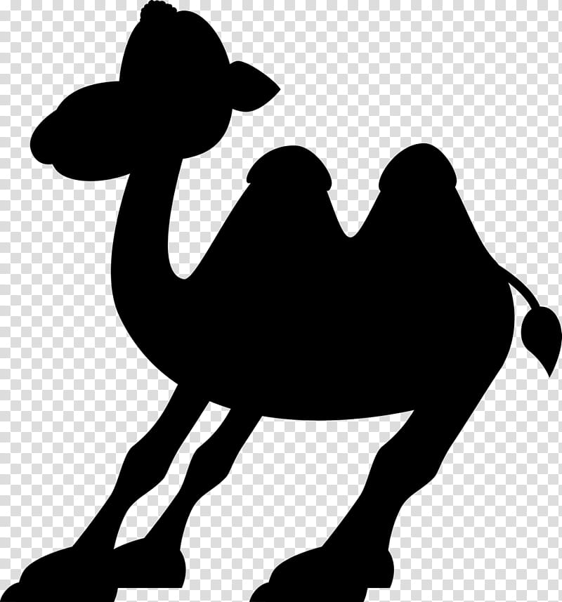 Dromedary Camel, Mustang, Silhouette, Snout, Horse, Camelid, Arabian Camel, Blackandwhite transparent background PNG clipart