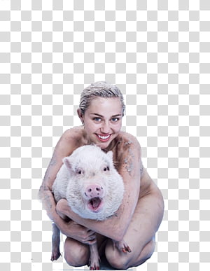 Miley Cyrus , normal_MC2569_281529 transparent background PNG clipart thumbnail