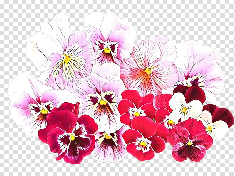 Pink Flower, Pansy, Violet, Purple, Common Blue Violet, African Violets, Sweet Violet, Irises transparent background PNG clipart