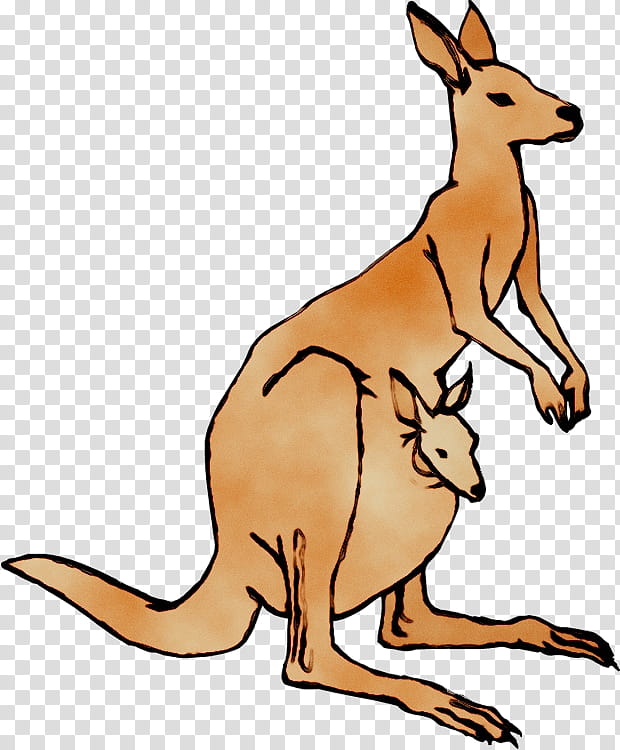 Kangaroo, Silhouette, Drawing, Cartoon, Line Art, Boxing Kangaroo, Macropodidae, Wallaby transparent background PNG clipart