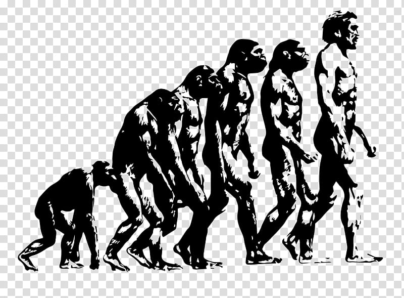 Scientist, Ape, Origin Of Modern Humans, Human Evolution, Introduction To Evolution, Southern Ape, Multiregional Origin Of Modern Humans, Homo Habilis transparent background PNG clipart