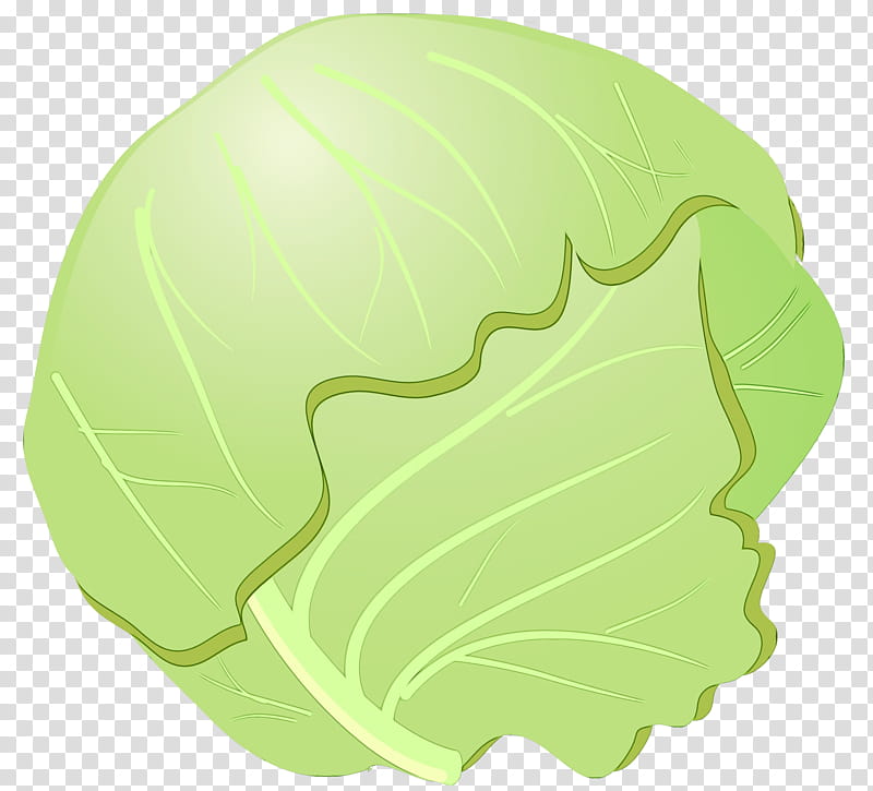 green cabbage leaf wild cabbage cruciferous vegetables, Watercolor, Paint, Wet Ink, Leaf Vegetable, Lettuce, Plant, Food transparent background PNG clipart