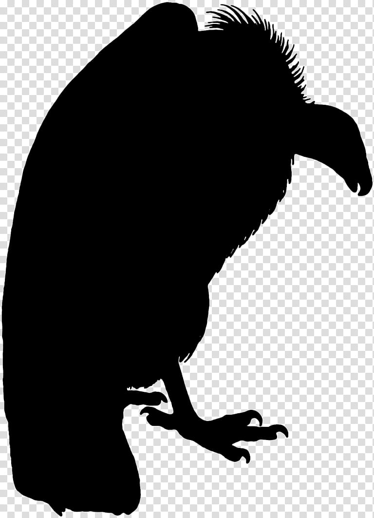 Beak Silhouette, Black, Tail, Vulture transparent background PNG clipart