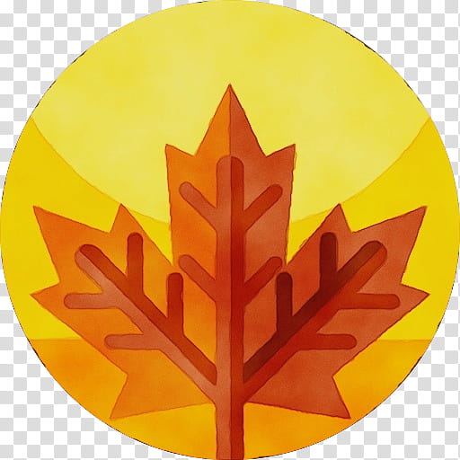 Canada Maple Leaf, Watercolor, Paint, Wet Ink, Flag Of Canada, Immigration Refugees And Citizenship Canada, University, Yellow transparent background PNG clipart