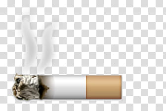 Aesthetic, cigarette icon transparent background PNG clipart