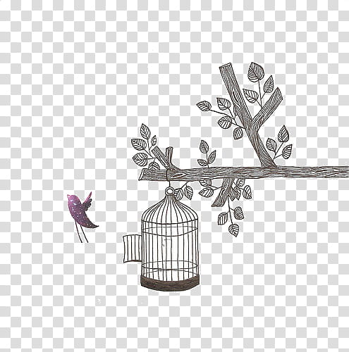Floral Drawing s, purple bird flying beside hanged birdcage illustration transparent background PNG clipart