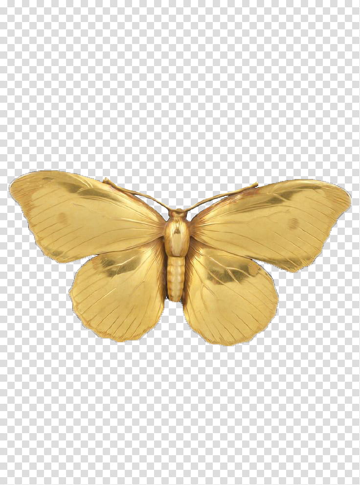 Golden Touch, gold butterfly pendant transparent background PNG clipart
