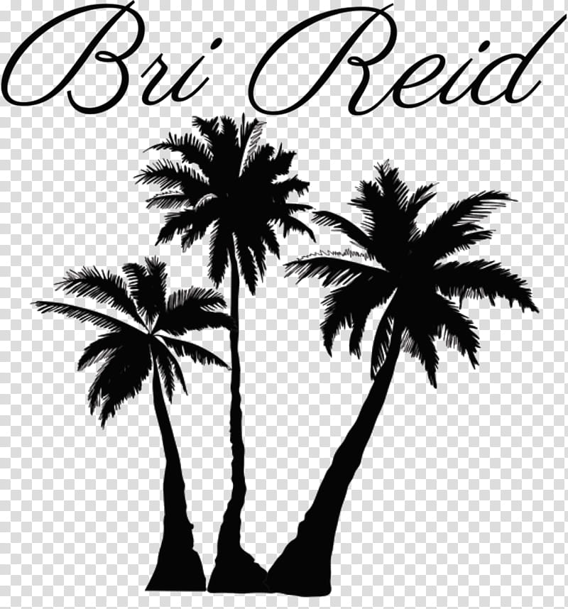 Coconut Tree Drawing, Palm Trees, Silhouette, Arecales, Plant, Woody Plant, Blackandwhite, Date Palm transparent background PNG clipart