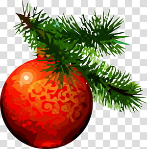christmas pine, Christmas Tree, Christmas Decoration, Christmas Ornament, Fir, Colorado Spruce, Plant, Oregon Pine transparent background PNG clipart thumbnail