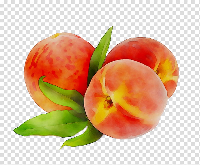 Apple, Peach, Food, Still Life , Diet Food, Natural Foods, Local Food, Fruit transparent background PNG clipart