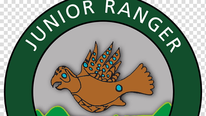 Bird Logo, Copper, Tree, Hopewell Tradition, Caricature, Junior Ranger Program, Park Ranger, Area transparent background PNG clipart