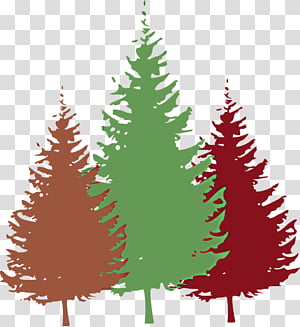 Christmas tree, Shortleaf Black Spruce, Yellow Fir, Colorado Spruce, Oregon Pine, Balsam Fir, Plant, Christmas Decoration transparent background PNG clipart thumbnail