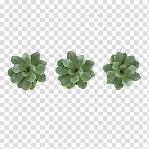 OO WATCHERS, three green leaves illustration transparent background PNG clipart