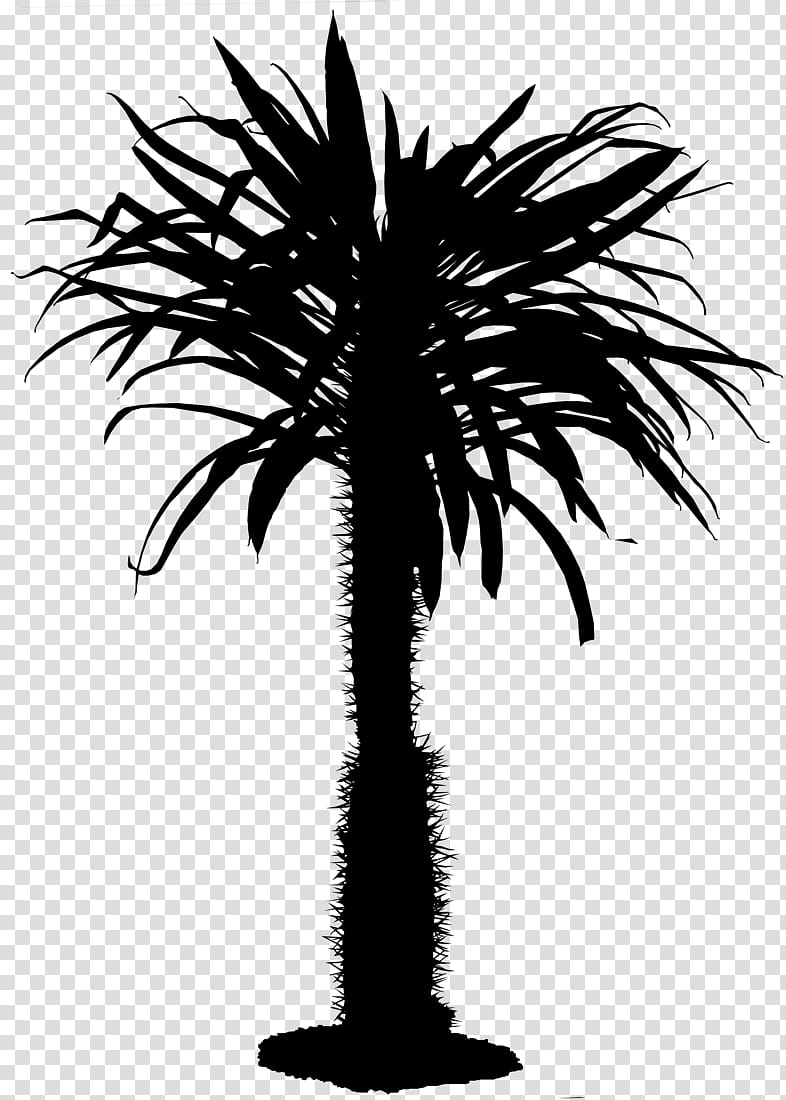 Palm Tree, Fort Lauderdale, Estate Agent, Real Estate, Miami, Broker, Asian Palmyra Palm, Plantation transparent background PNG clipart