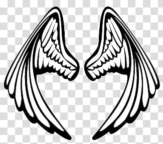 Randon OO, white and black wings transparent background PNG clipart