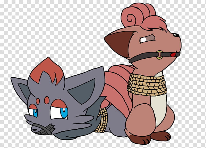 Zorua And Vulpix () transparent background PNG clipart