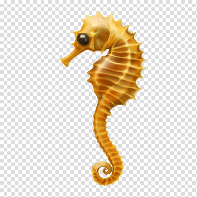 seahorse northern seahorse fish animal figure bony-fish, Bonyfish, Rayfinned Fish transparent background PNG clipart